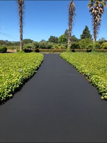Sealcoated driveway