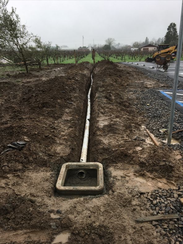 Drainage and catch basin